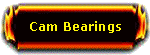 Cam Bearings